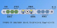 扁平絞合型排列帶屏蔽、鋼芯和視頻線電梯電纜