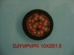 DJYVPVPR 10*2*1.5計(jì)算機(jī)屏蔽軟電纜