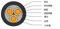 3*2.5，3*3，3*4，3*6，3*10，3*16，3*25屏蔽電纜結(jié)構(gòu)圖