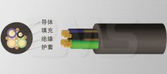 450/750V 重型橡套軟電纜(YZWB電纜)