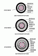 PVYV,PTYY,PTY22,PTY23鐵路信號(hào)電纜