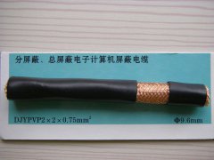 DJYPVP 2*2*0.75 分屏蔽、總屏蔽電子計(jì)算機(jī)屏蔽電纜